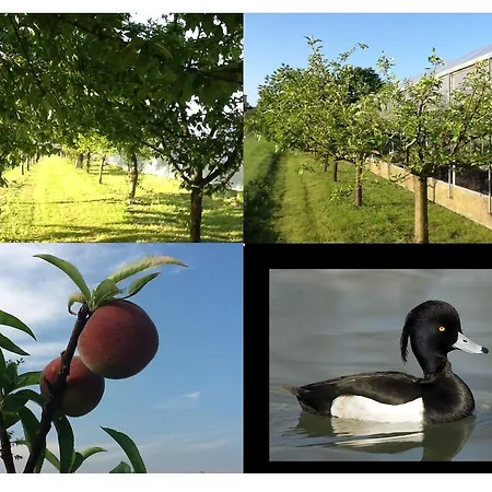 Bed&braja 게스트하우스 3*