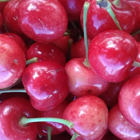 게스트하우스 Bed&braja 3*