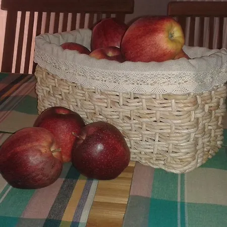 Affittacamere Bed&braja Vische